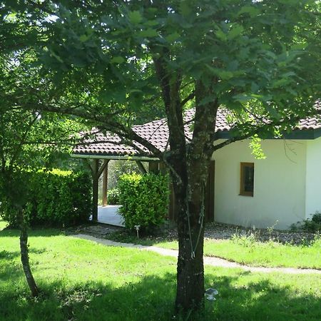 Le Verger Gites Castelnau D'Auzan Eksteriør billede